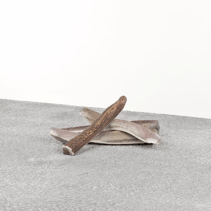 Primal Split Stag Antler Dog Treats Premium Premium Pet Supply - main product image
