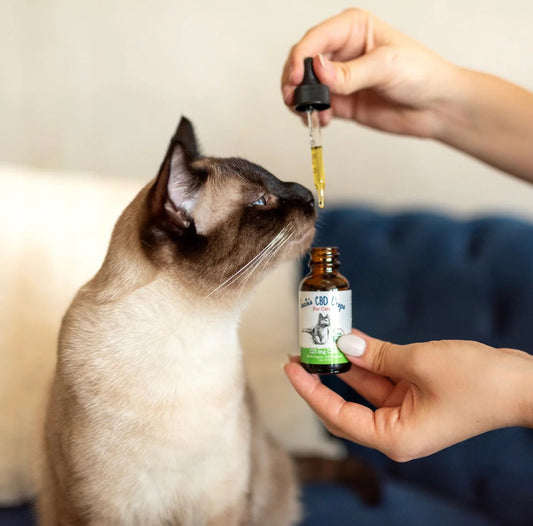 Cat Supplement Premium Variety Daily Premium Pet Supply - detail view