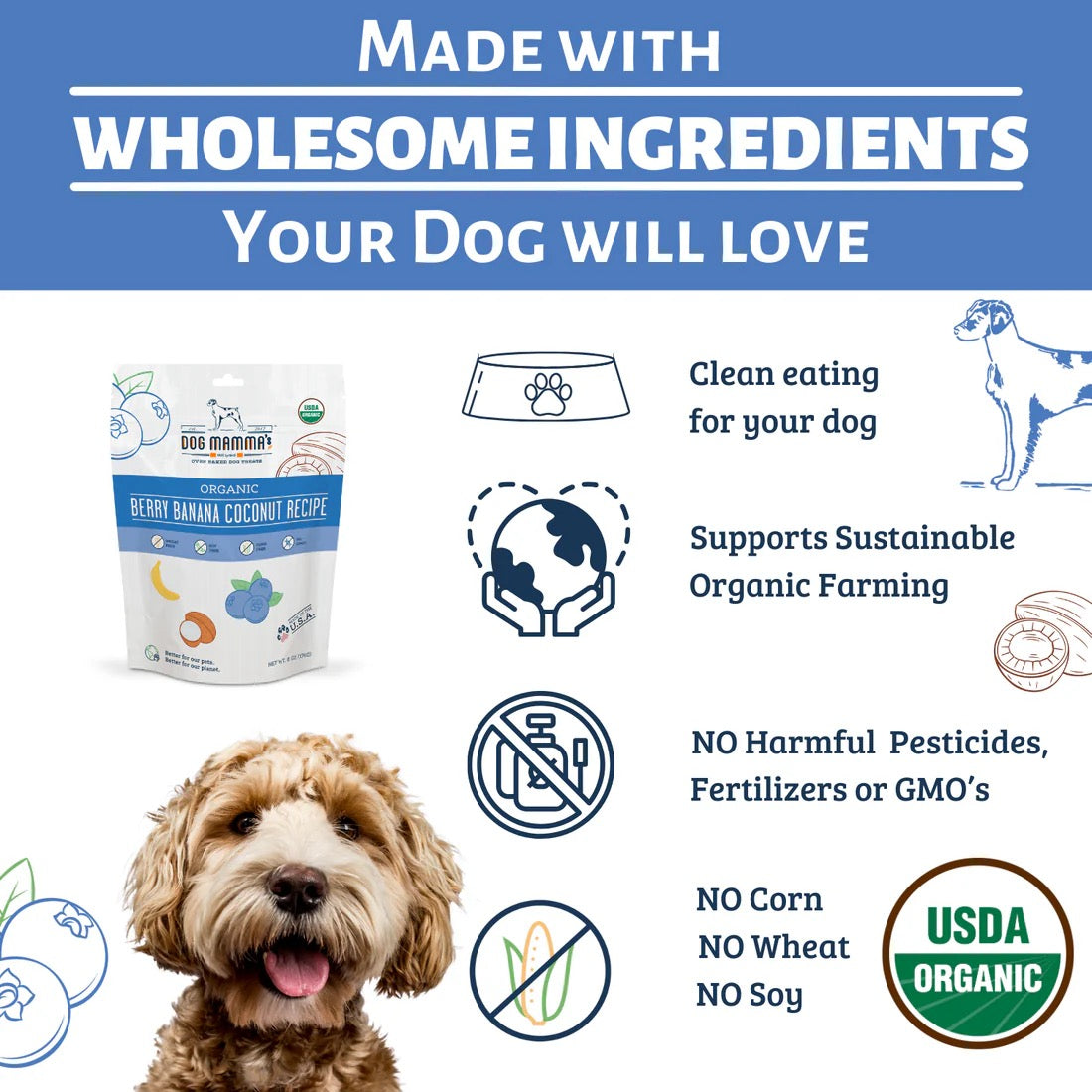 Dog Mammas Organic Berry Banana Coconut Oven Baked Dog 6Oz - lifestyle view