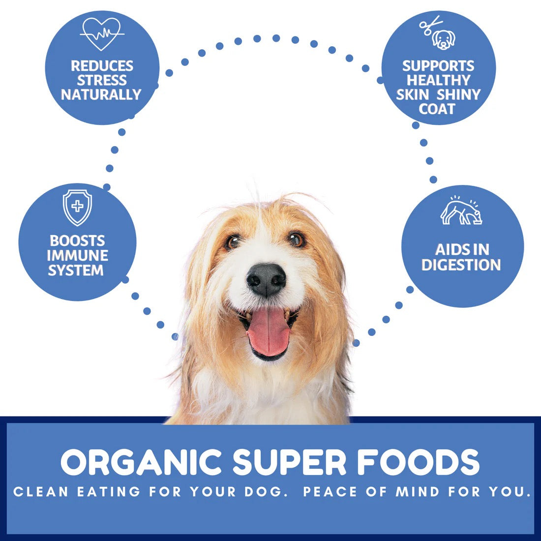 Dog Mammas Organic Berry Banana Coconut Oven Baked Dog 6Oz - close up view