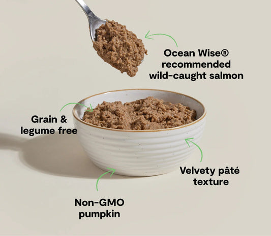 Open Farm Grain Free Wild Caught Salmon Pate For Cats 2 8Oz - detail view