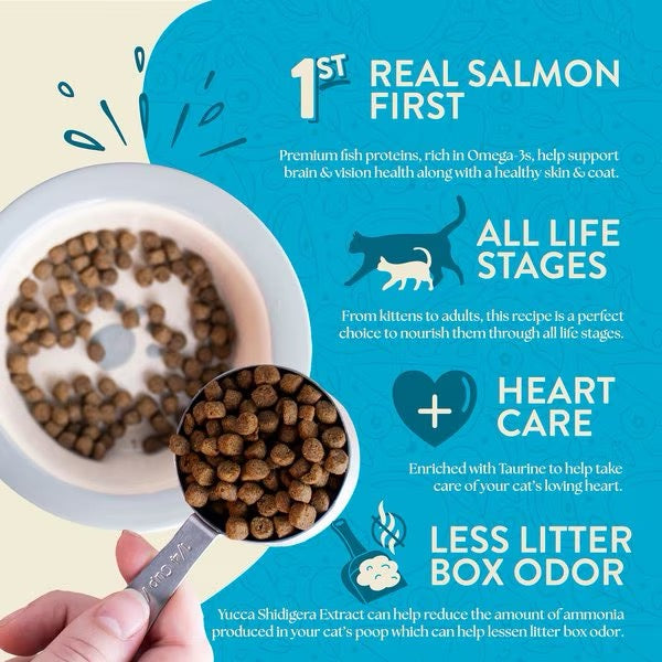 Earthborn Grain Free Wild Sea Catch Dry Cat Food Dry Cat - gallery image 5