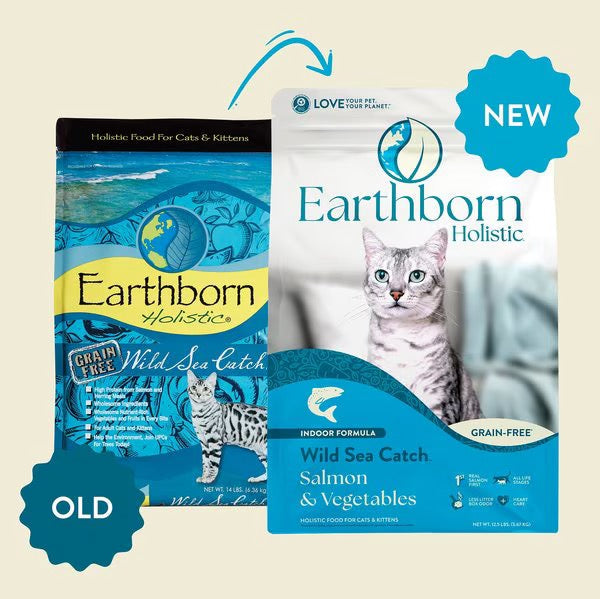 Earthborn Grain Free Wild Sea Catch Dry Cat Food Dry Cat - lifestyle view