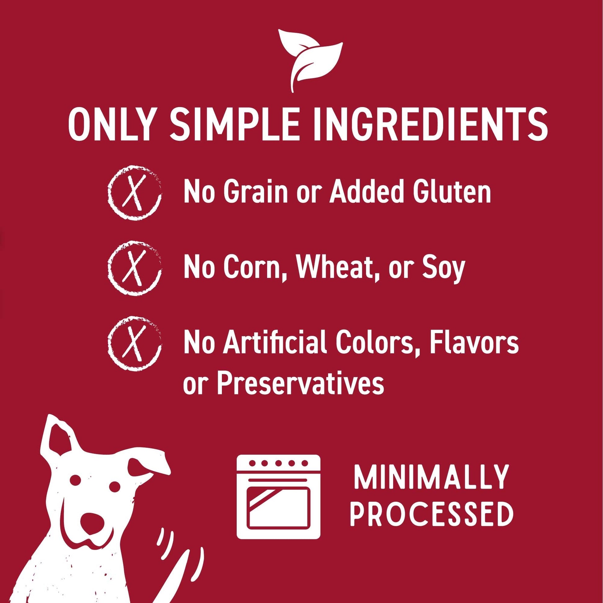 Wagmore Grain Free Pumpkin Oven Baked Biscuits Dog Treats - lifestyle view
