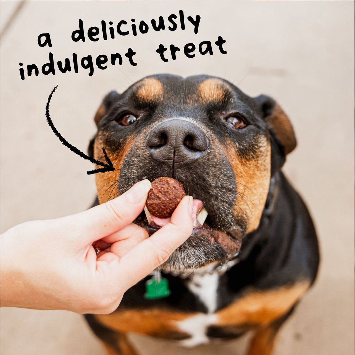 Wagmore Grain Free Beef Meatball Bites Dog Treats (14oz) - close up view