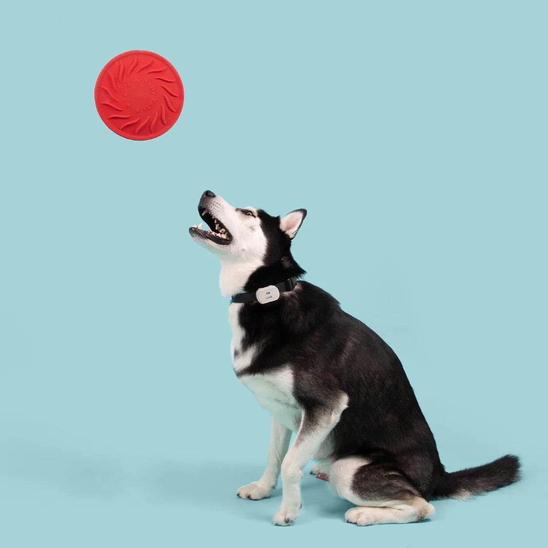 Jolly Pets Jolly Tuff Flyer Red 8 5In Interactive Dog Toy - detail view