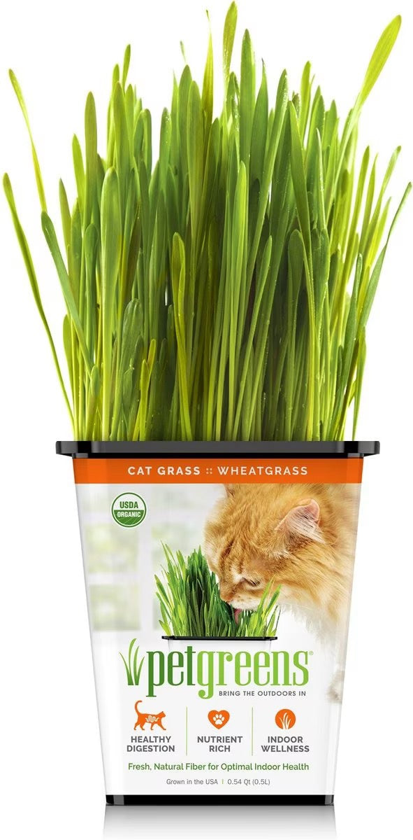 Pet Greens Organic Cat Grass Catnip Premium Pet Supply - main product image