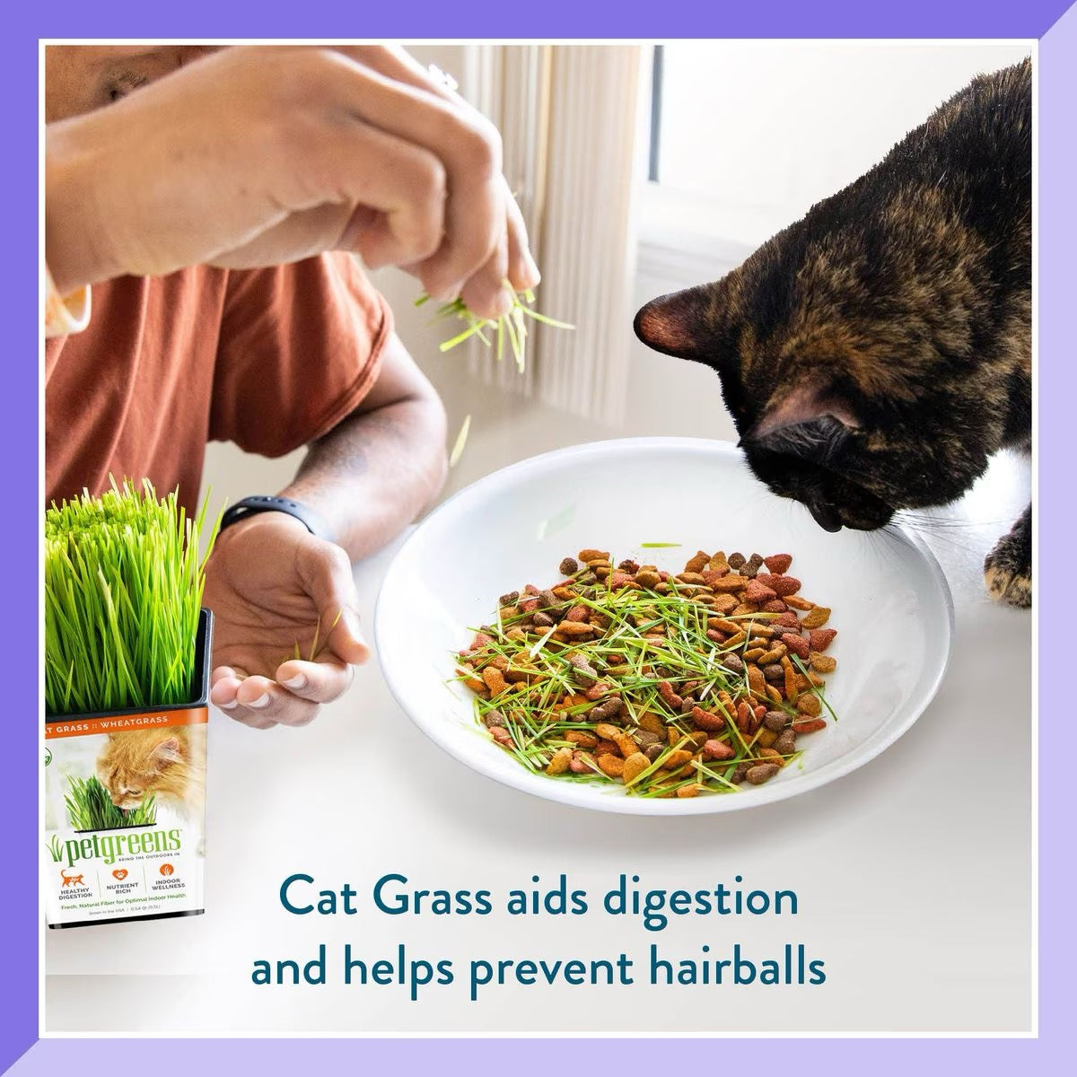 Pet Greens Organic Cat Grass Catnip Premium Pet Supply - lifestyle view