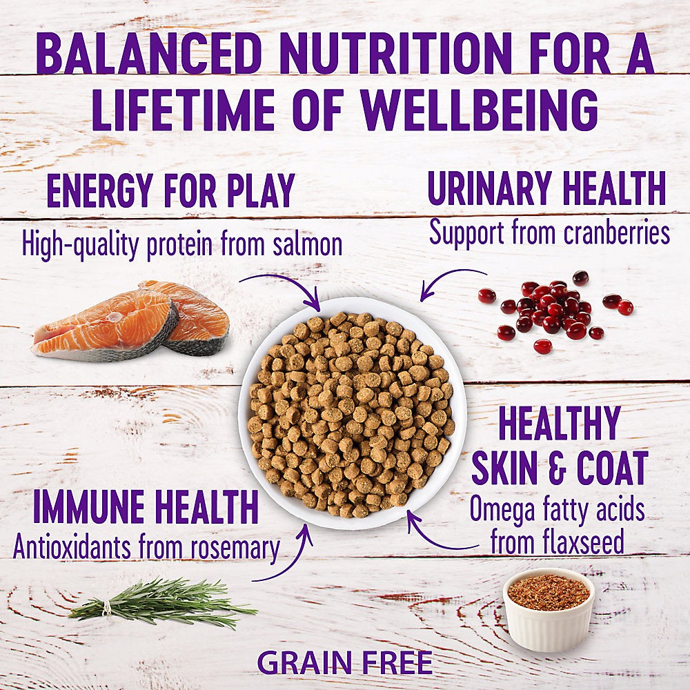 Dry Cat Food Wellness Chicken Recipe 5.5lb Daily Meals Premi - lifestyle view
