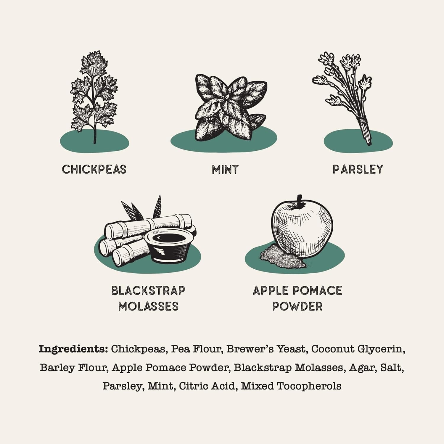 Dog Treat Naturals Chickpea Mint Dental Sticks Dog Treats - lifestyle view
