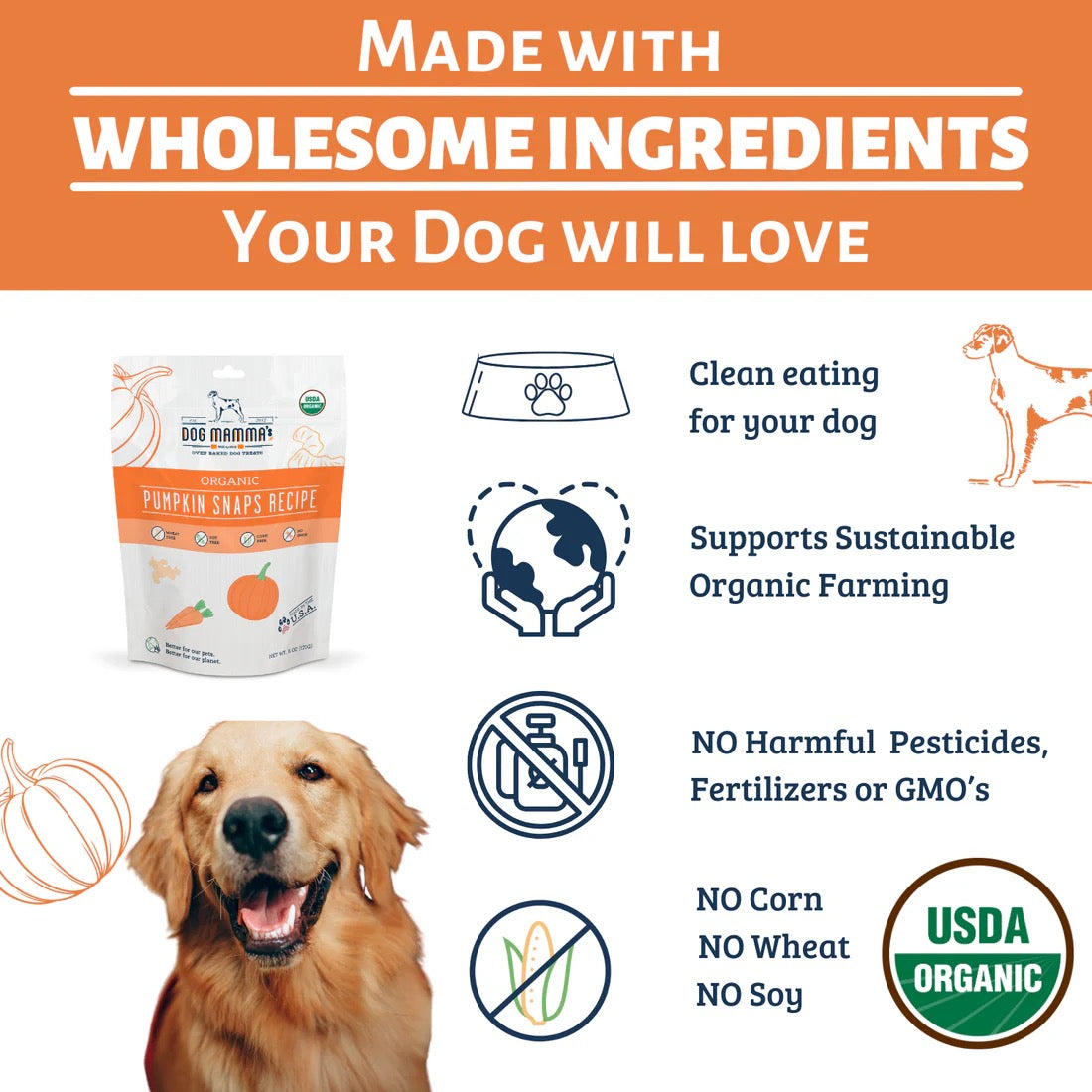 Dog Treats Premium Pumpkin Chews 6oz Training Rewards Premiu - lifestyle view
