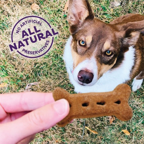Dog Treats Premium Variety Chews Small Training Rewards - gallery image 5