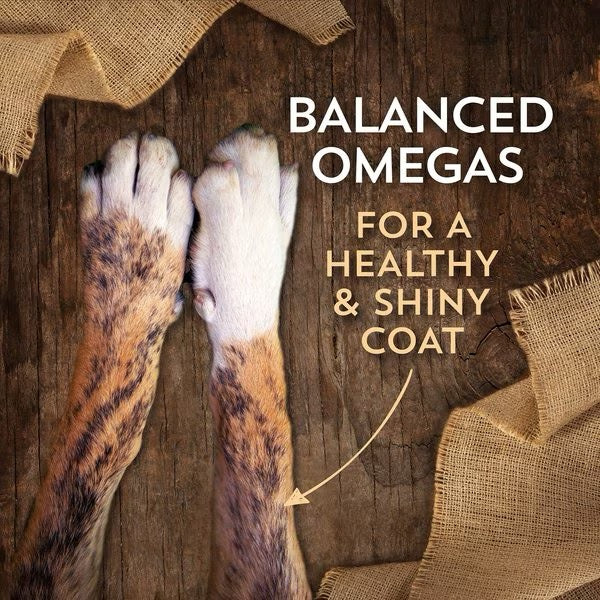 Dry Dog Food Premium Lamb Recipe 35lb Daily Nutrition Premiu - close up view