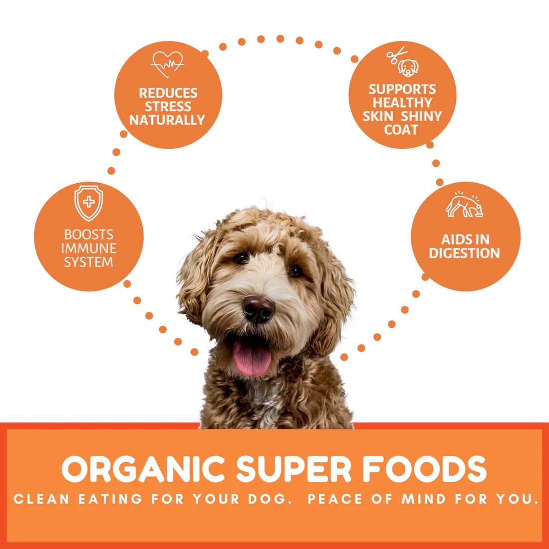 Dog Treats Premium Pumpkin Chews 6oz Training Rewards Premiu - close up view