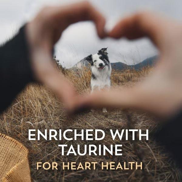 Dry Dog Food Premium Lamb Recipe 35lb Daily Nutrition Premiu - gallery image 5
