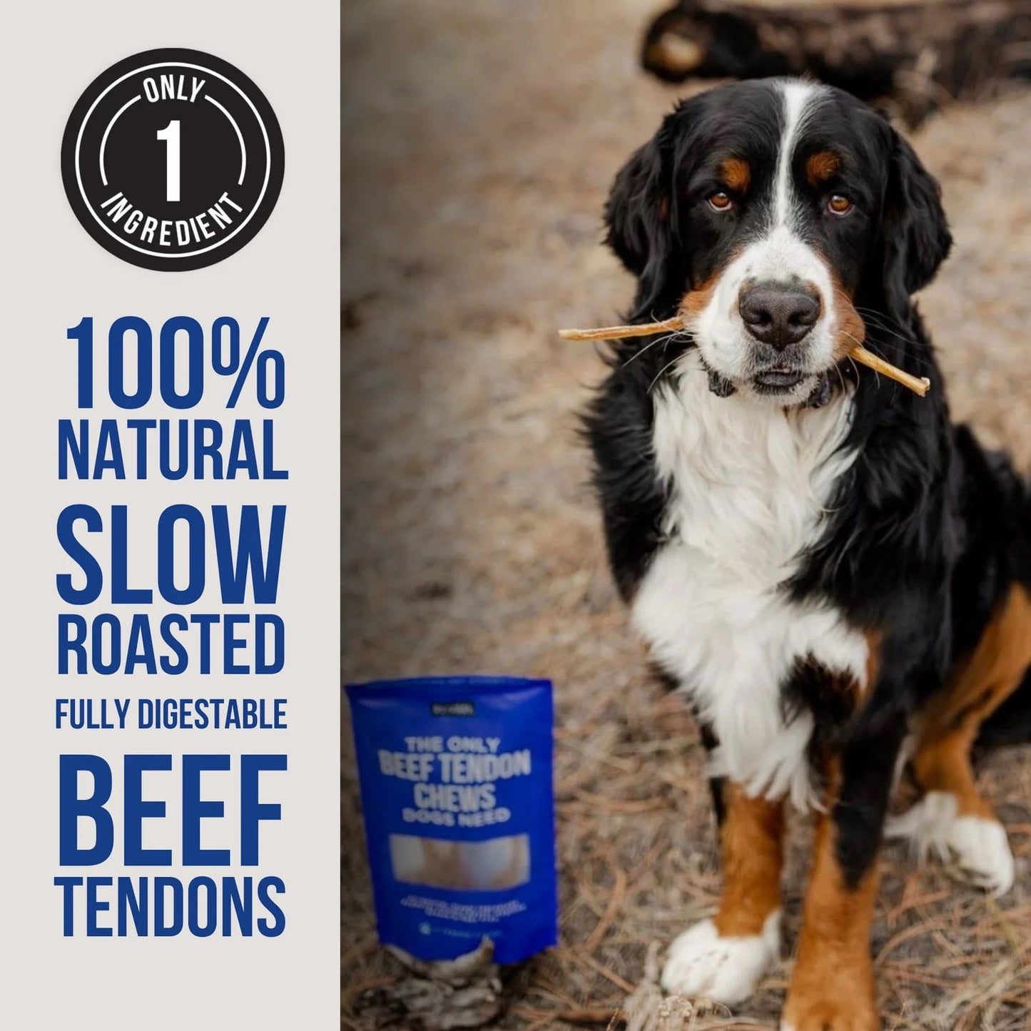 Dog Treats Premium Beef Chews 5ct Training Rewards Premium - lifestyle view