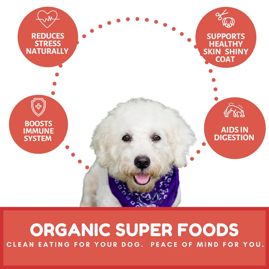 Dog Mammas Organic Apple Cranberry Oven Baked Dog Treats 6Oz - close up view