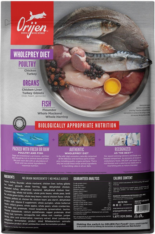 Orijen Large Breed Puppy Dry Dog Food Dry Dog Food Premium - detail view