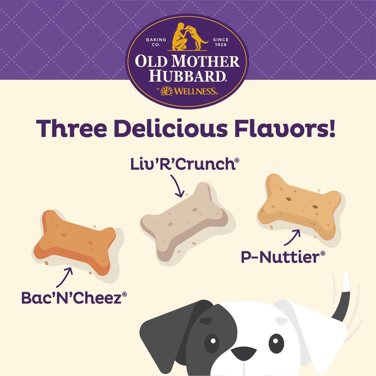 Old Mother Hubbard Savory Mix Assortment Mini Crunchy Dog - lifestyle view
