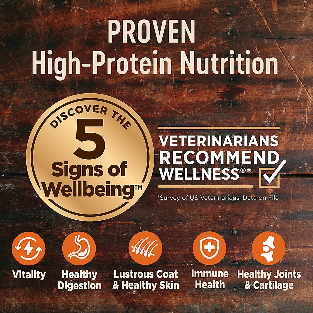 Dry Dog Food Wellness Turkey Recipe 4lb Daily Nutrition - lifestyle view