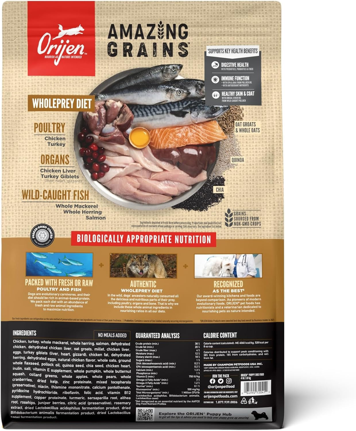 Orijen Amazing Grains Puppy Dry Dog Food Dry Dog Food - detail view