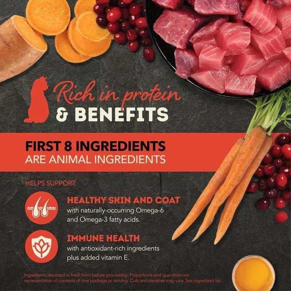 Acana Grain Free Chunks in Broth Beef & Tuna Wet Cat Food (3oz) - lifestyle view | Cat Food at Purrfect Pet Kingdom