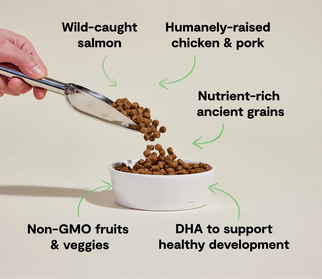 Open Farm Puppy Chicken Salmon Ancient Grains Dry Dog Food - detail view