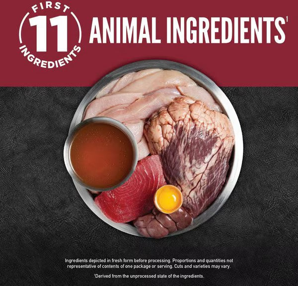 Wet Cat Food Orijen Beef Recipe 3oz Daily Meals Premium Pet - lifestyle view