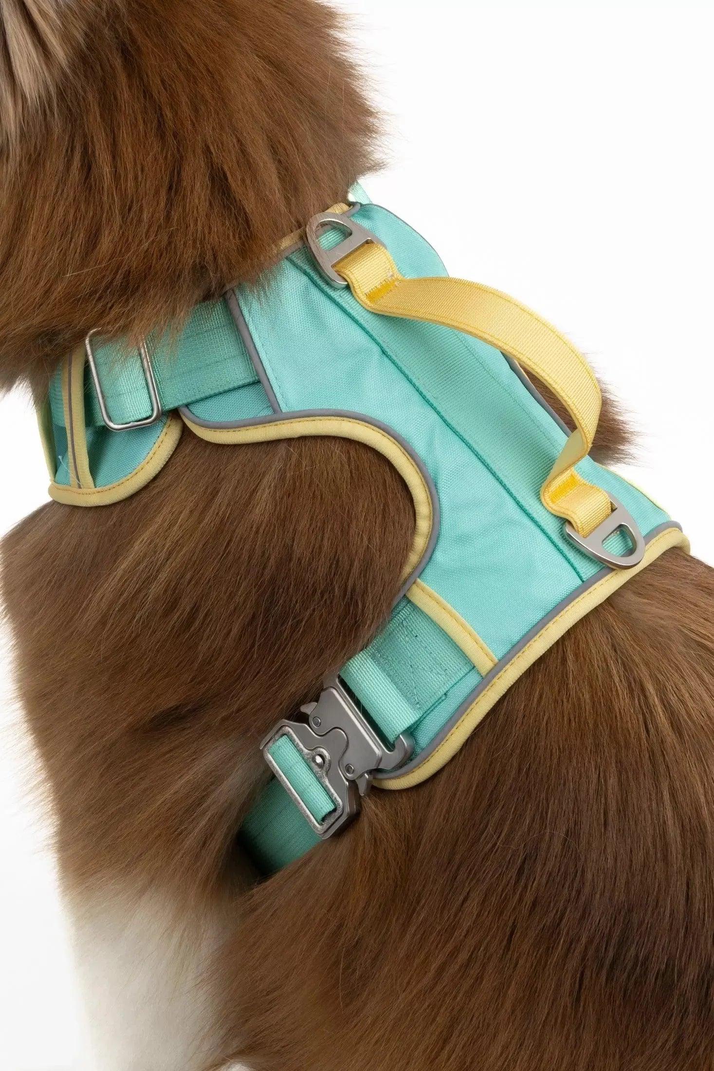 Island Vibes Ultimate Dog Harness Adjustable Dog Walking - detail view