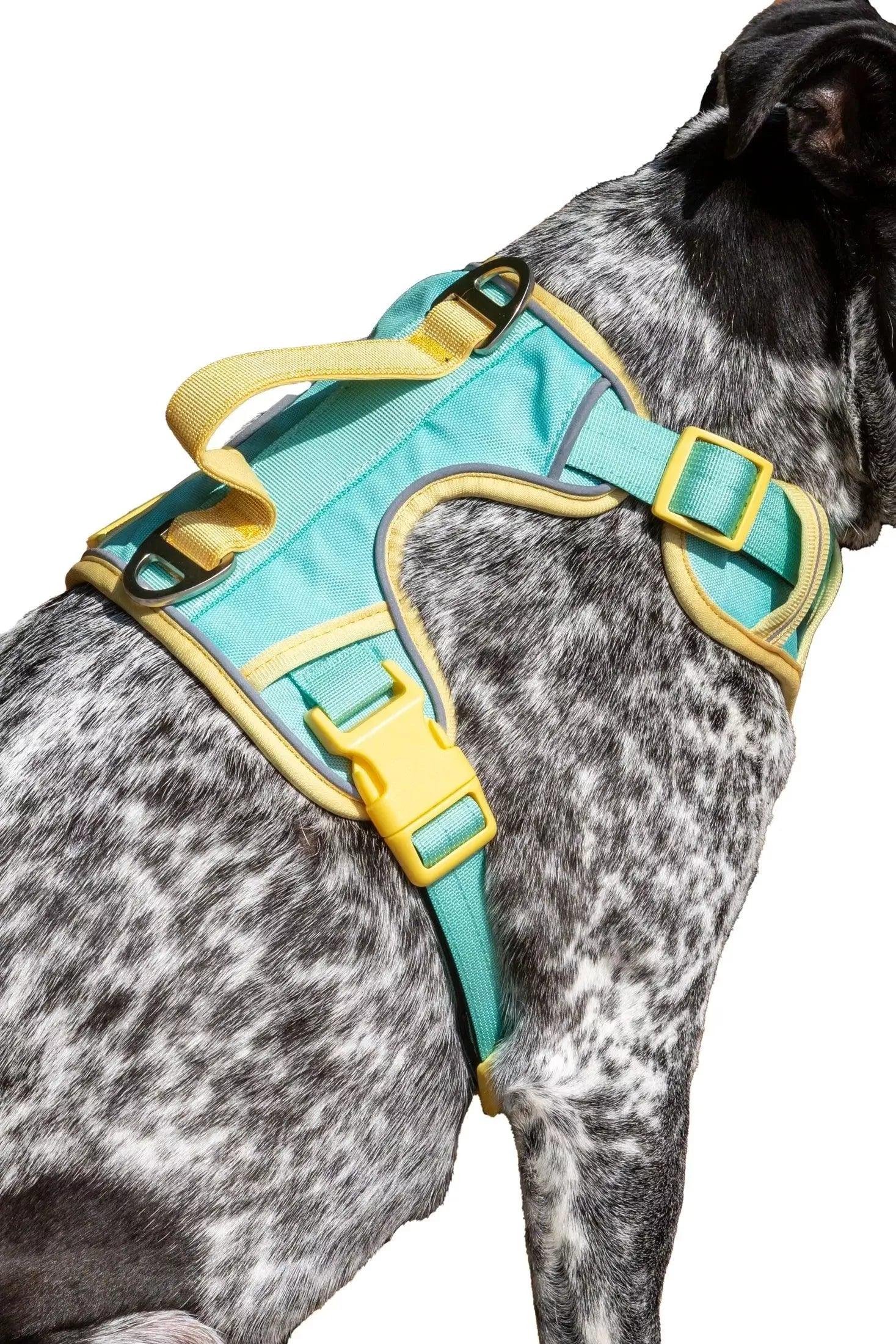 Island Vibes Ultimate Dog Harness Adjustable Dog Walking - main product image