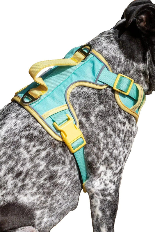 Island Vibes Ultimate Dog Harness Adjustable Dog Walking - main product image