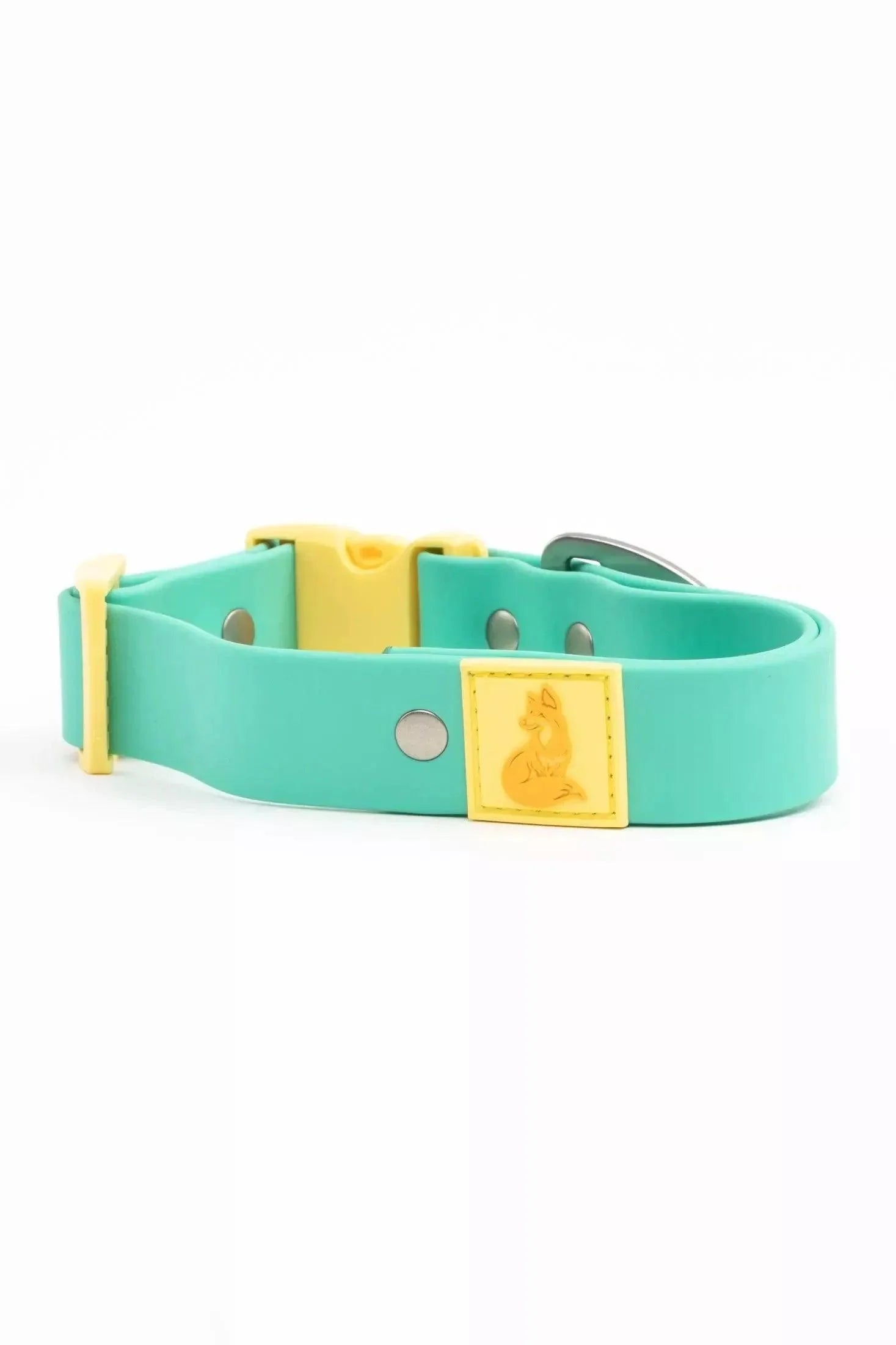 Island Vibes Waterproof Dog Collar Adjustable Dog Walking - lifestyle view