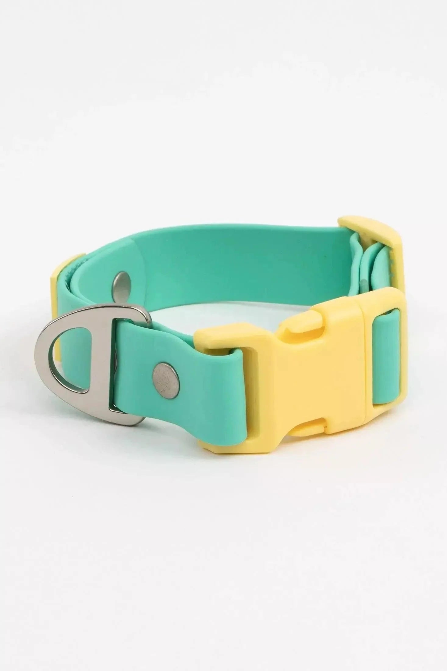 Island Vibes Waterproof Dog Collar Adjustable Dog Walking - close up view