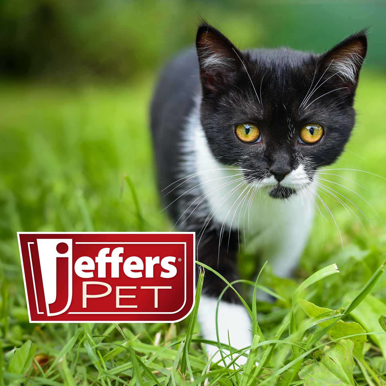 Jeffers Pet Nail File for Dog and Cat Nail Grooming, 7"L - gallery image 6