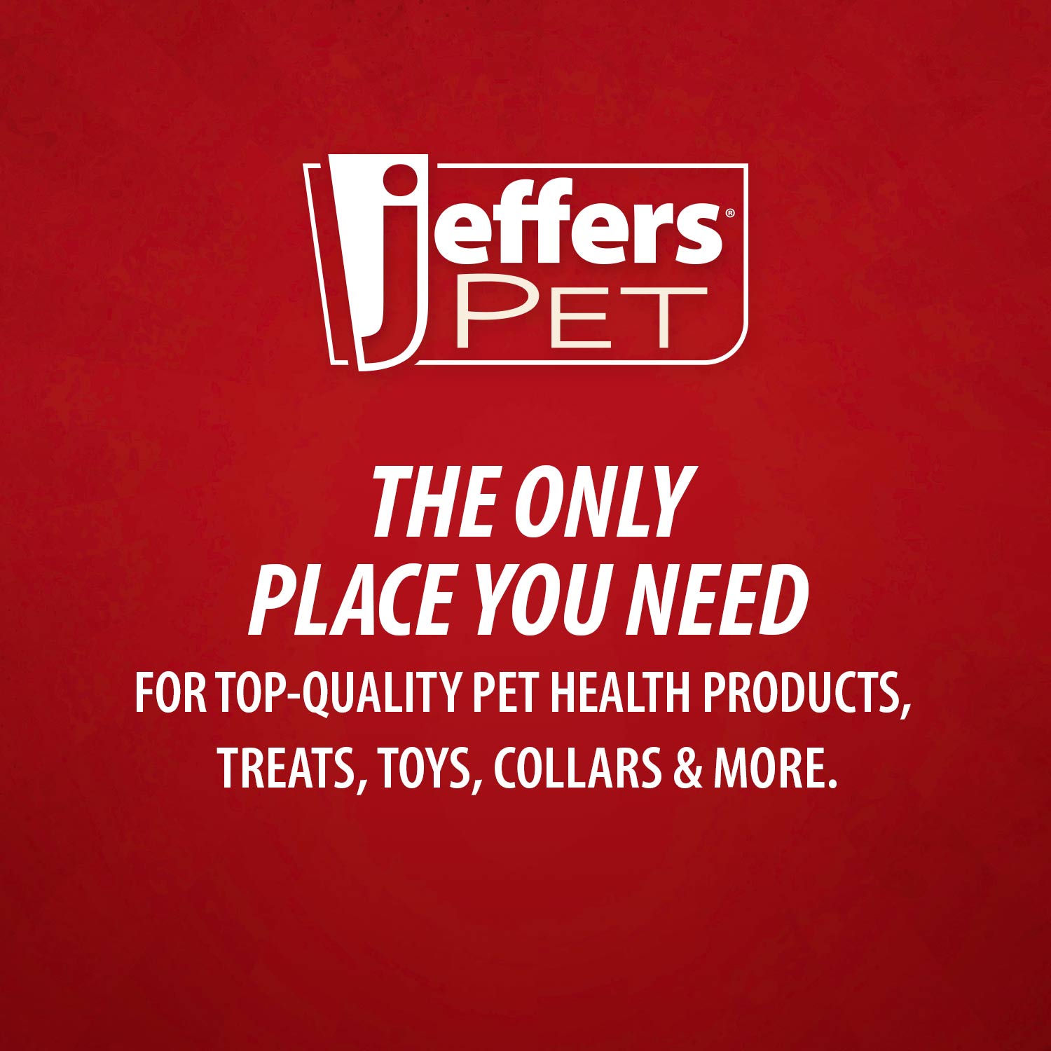 Natural Flea Tick Pennyroyal Dog Shampoo Aids In Pet - gallery image 7