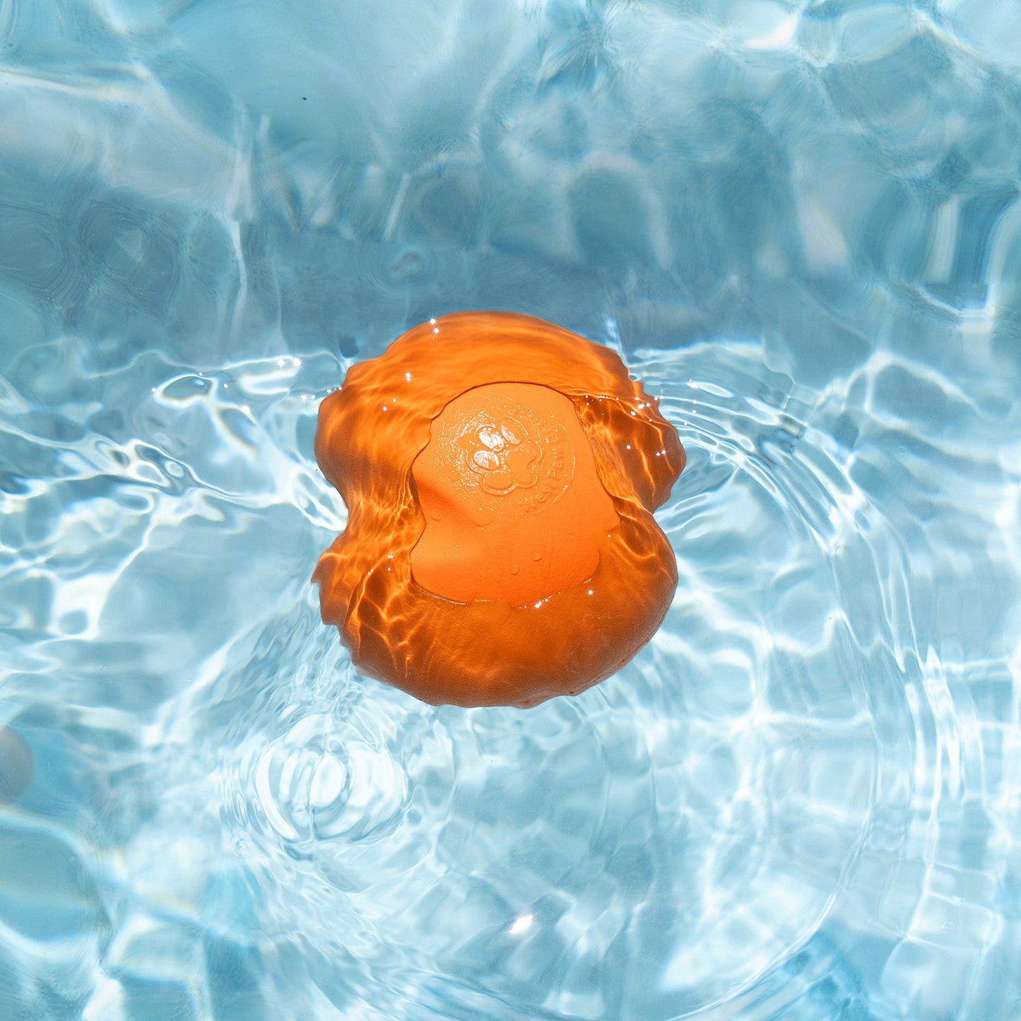 Dog Toy West Paw Jive Durable Bounce Ball Interactive - close up view
