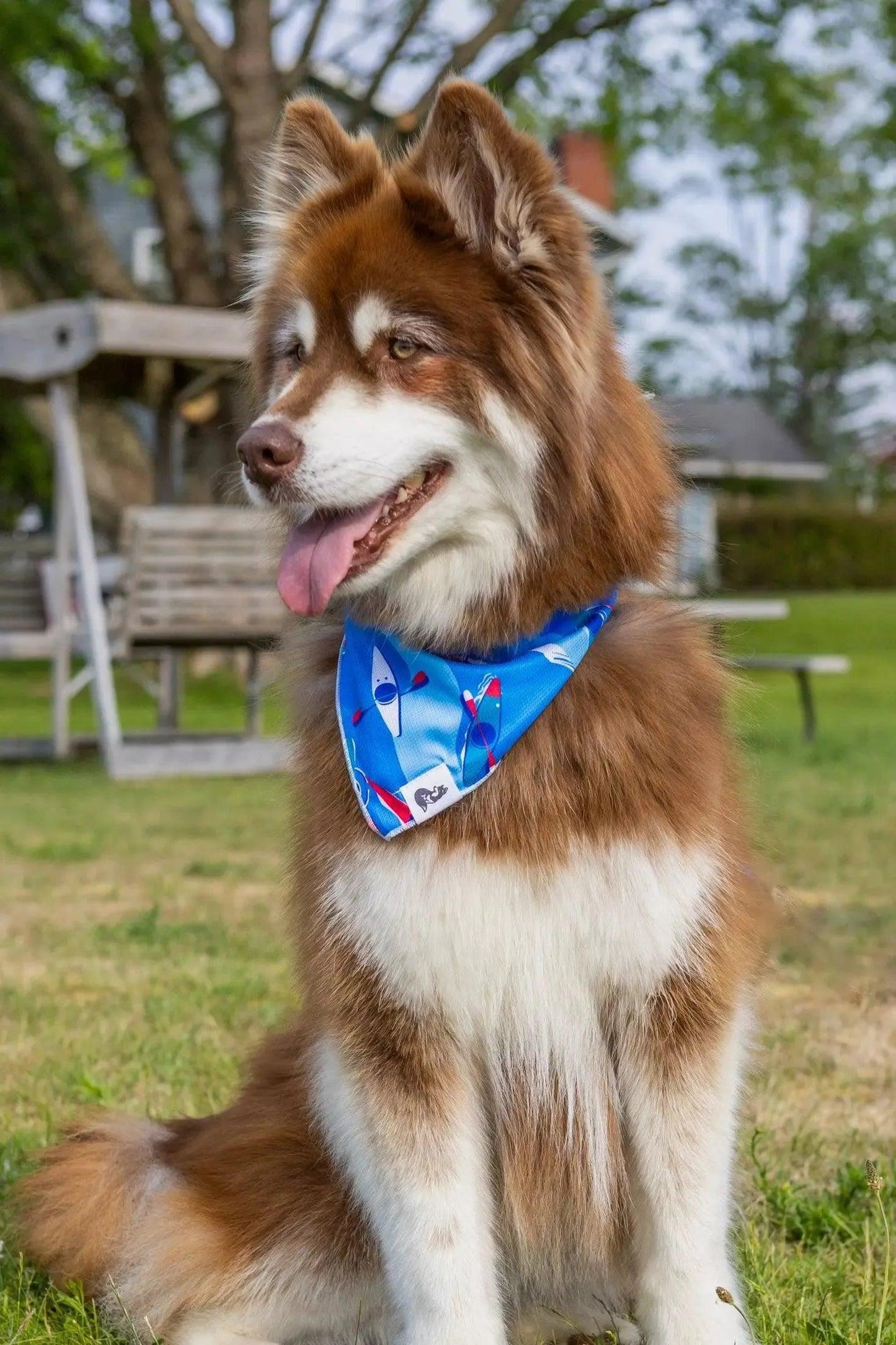K9 Kayak Dog Bandana Dog Bandanas Premium Pet Supply Premium - detail view