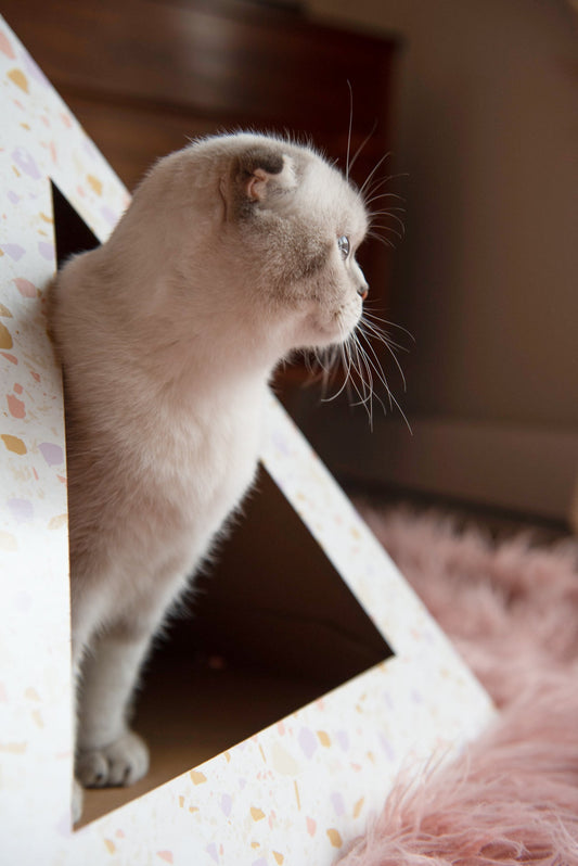 'Terrazzo' Cardboard Cat Pyramid - detail view