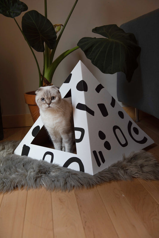 'Doodle' Cardboard Cat Pyramid - detail view