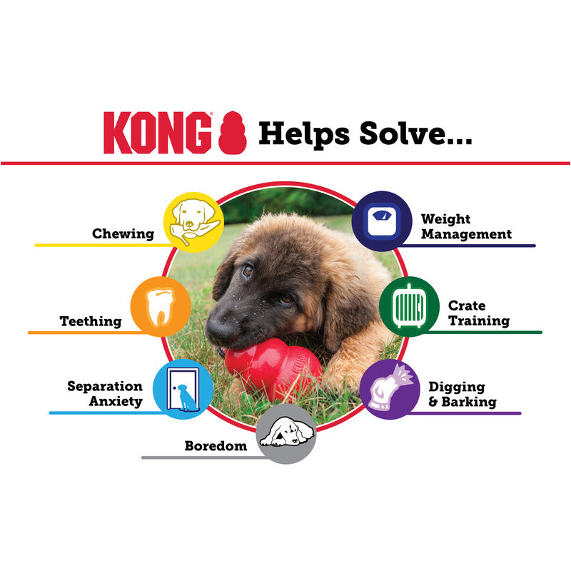 KONG Red Classic Durable Chew Dog Toy Durable Play - lifestyle view