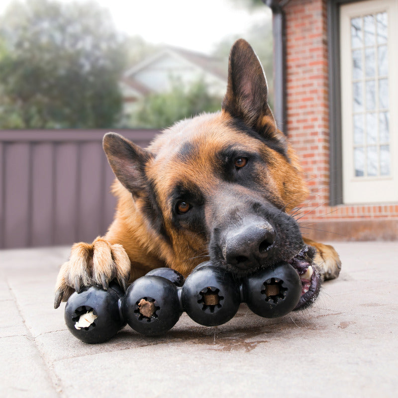 KONG Extreme Goodie Ribbon Large Treat Dispensing Dog Toy - detail view
