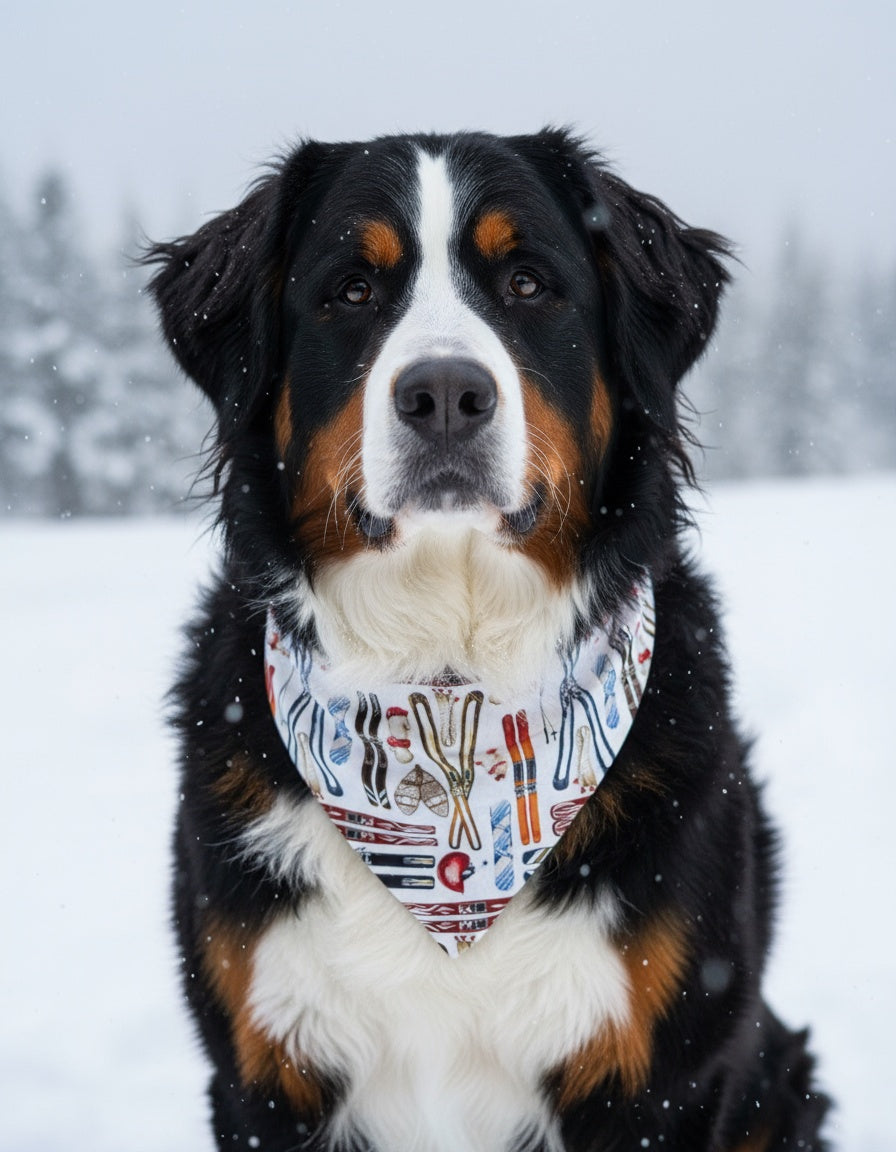 Skiing Dog Bandana - detail view