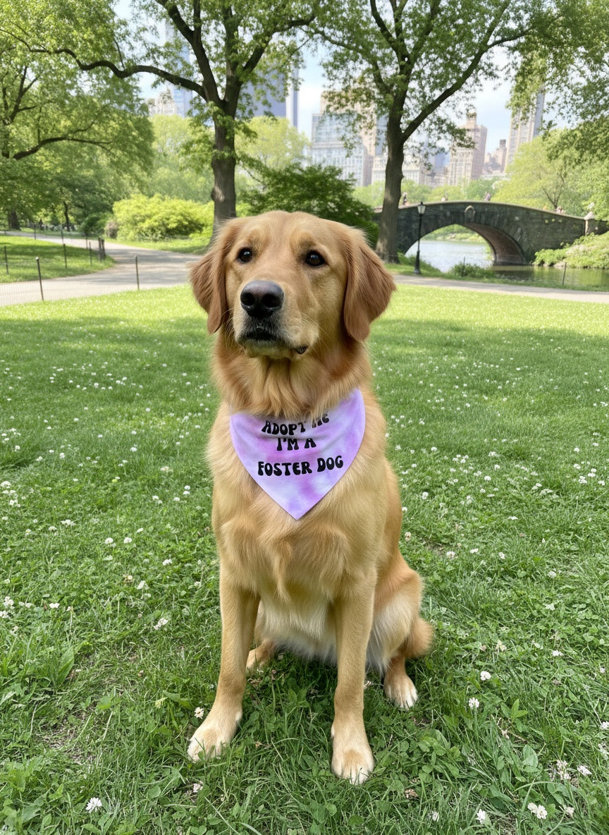 Dog Apparel Adopt Me I m A Foster Tie Dye Dog Bandana New - main product image