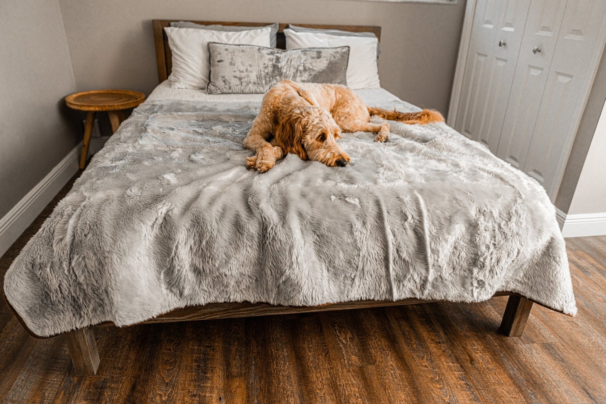 Waterproof Pet Blanket Soft Throw Grey Washable Cover Premiu - gallery image 11