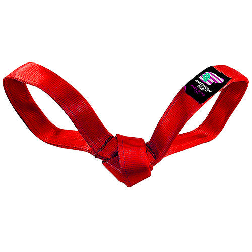 Dog Toy Lucky Dog 9 Love Bird Seatbelt Tug Interactive Plush - main product image