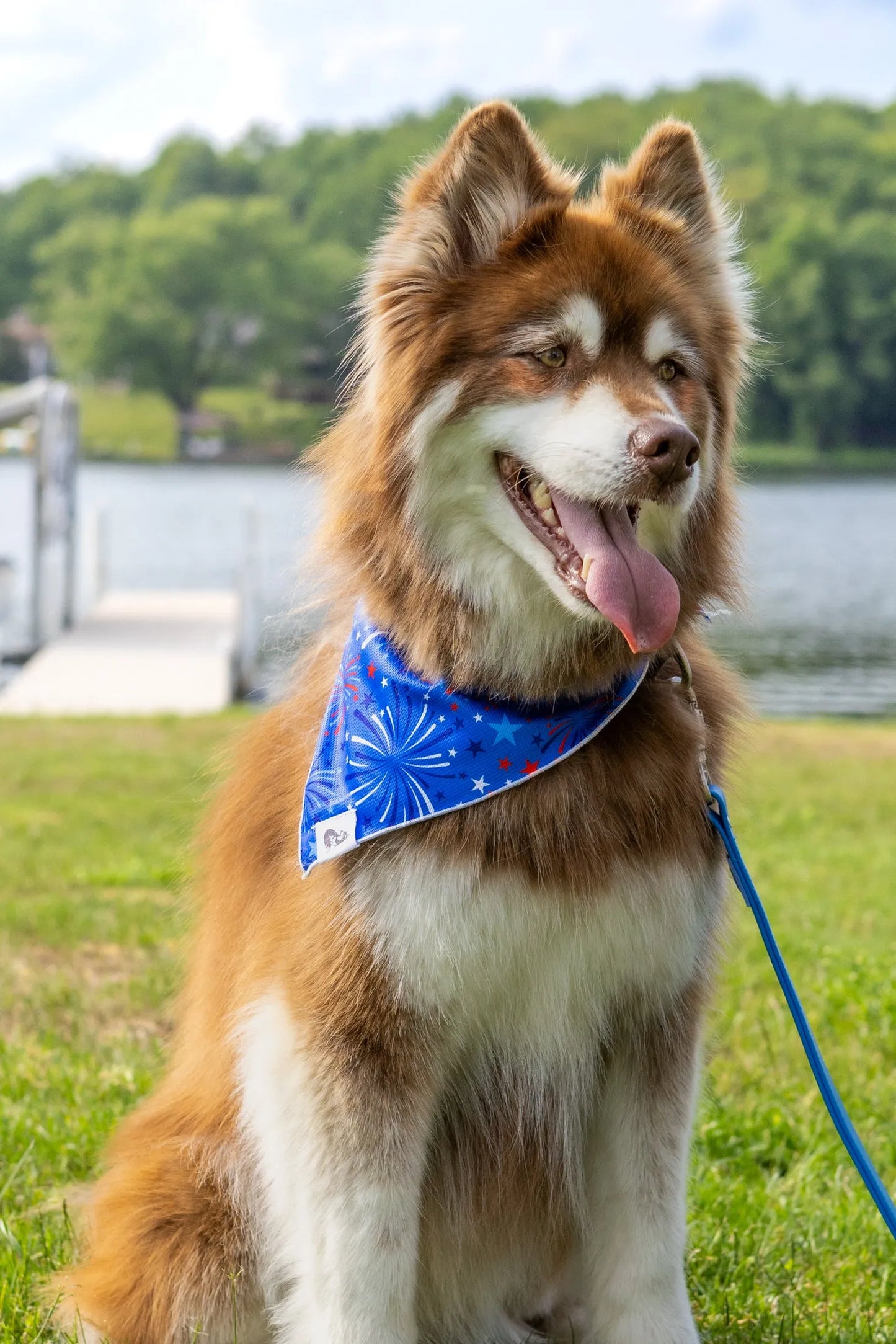 Patriotic Dog Bandana Dog Bandanas Premium Pet Supply - detail view