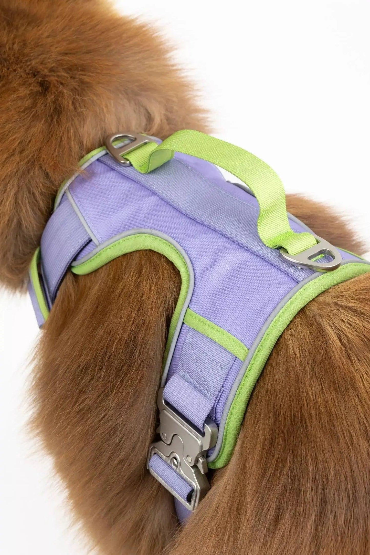 Lavender Garden Ultimate Dog Harness Adjustable Dog Walking - main product image