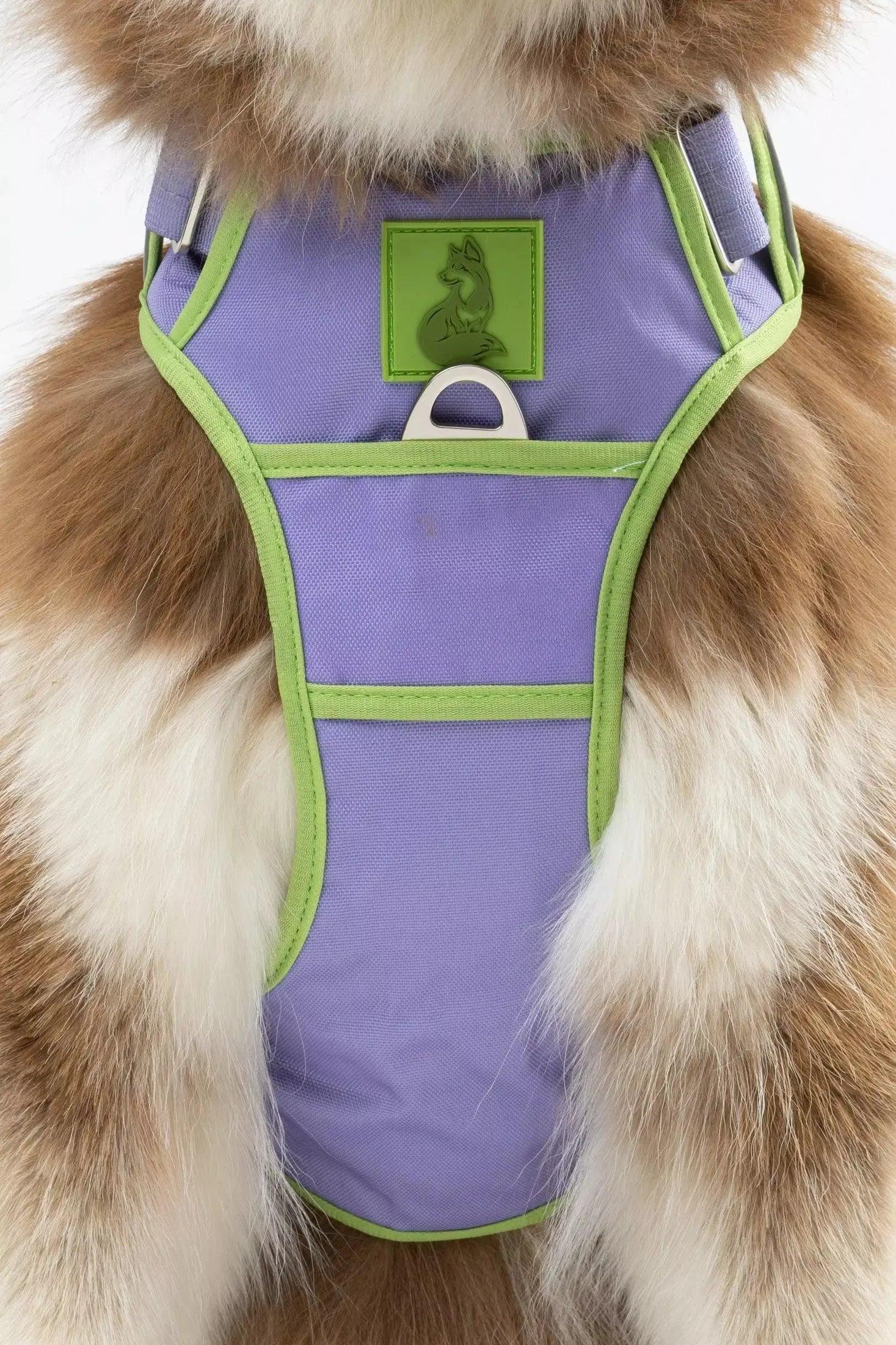 Lavender Garden Ultimate Dog Harness Adjustable Dog Walking - close up view