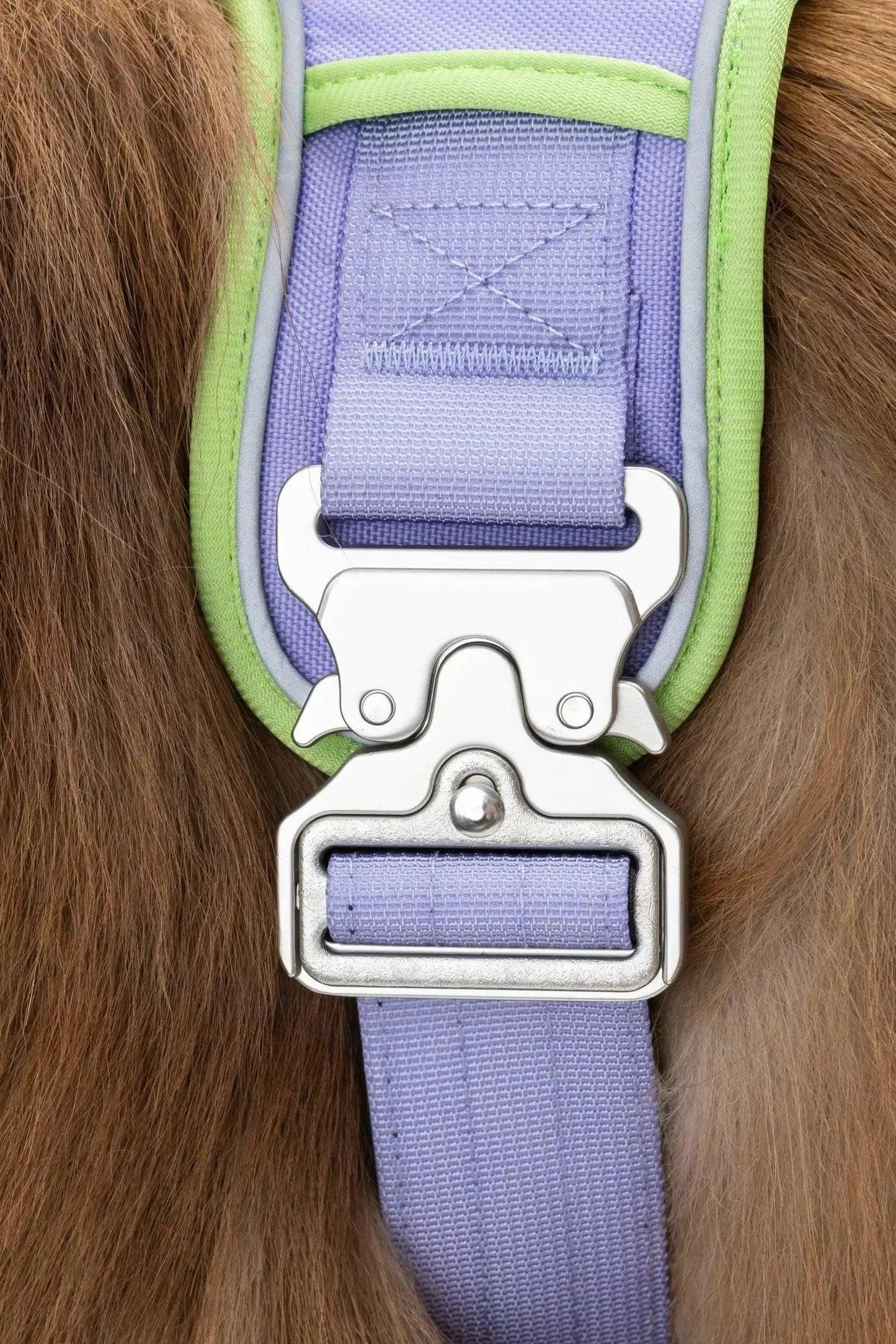 Lavender Garden Ultimate Dog Harness Adjustable Dog Walking - gallery image 5