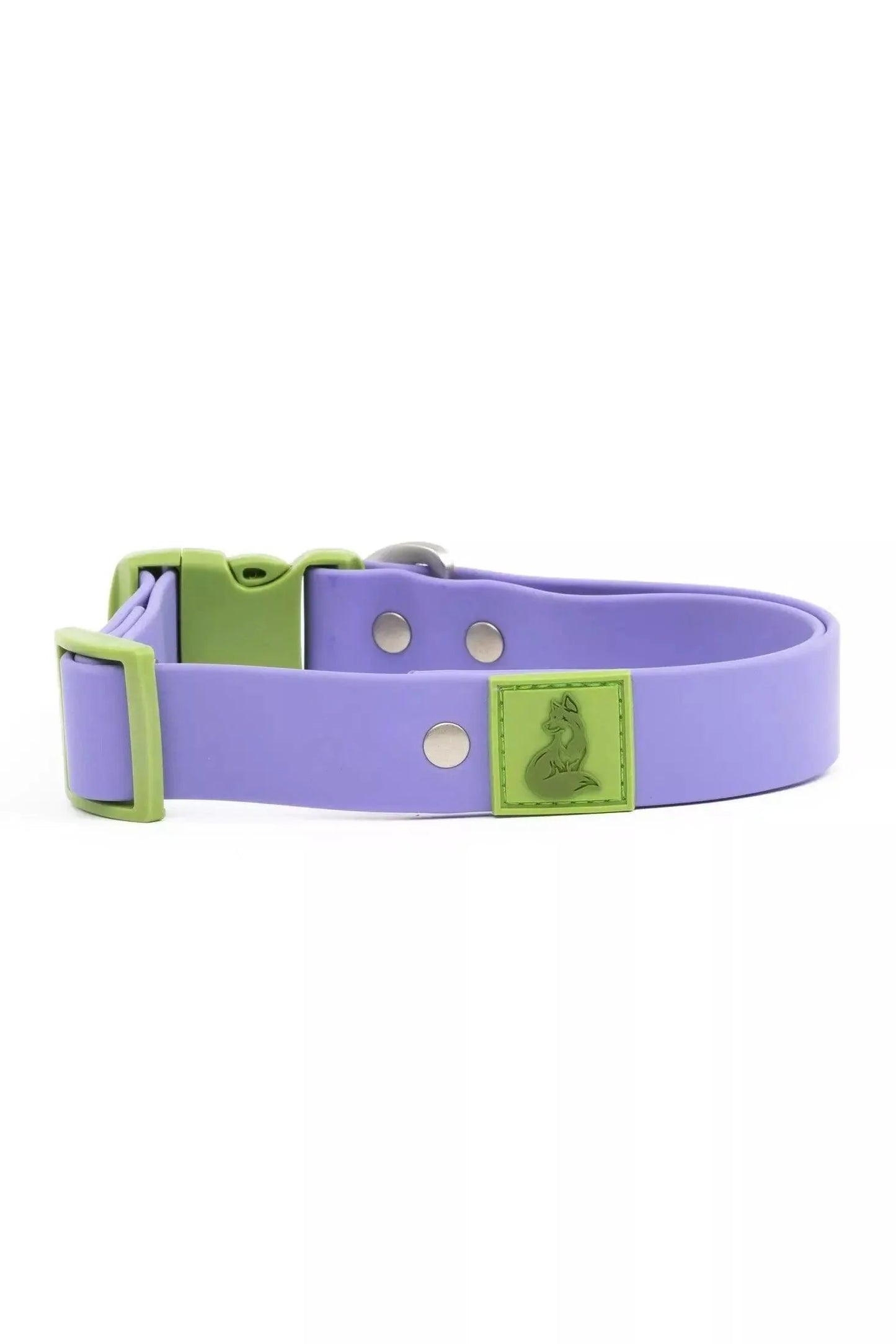 Lavender Garden Waterproof Dog Collar Adjustable Dog Walking - lifestyle view